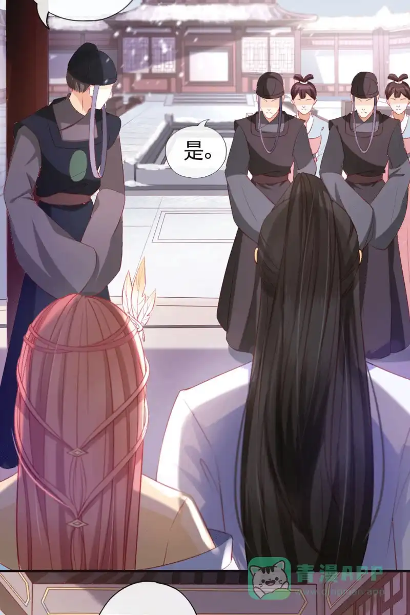 《半妖王妃》排查搜身 第11页