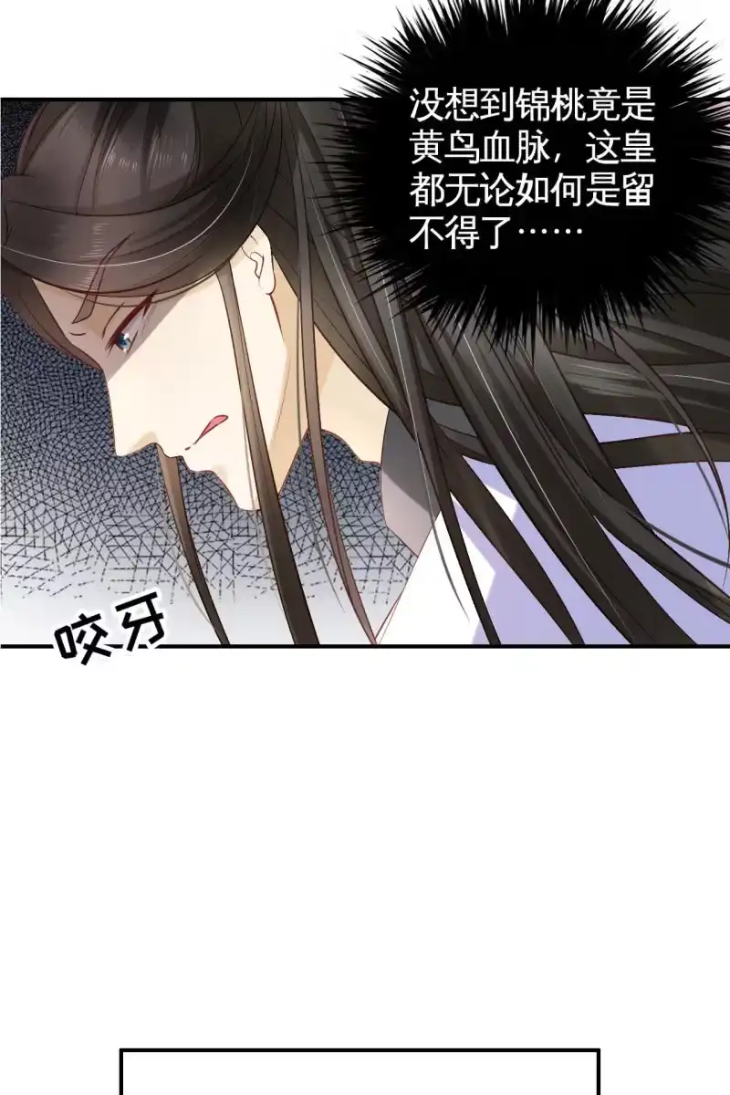 《半妖王妃》黄鸟血脉 第27页