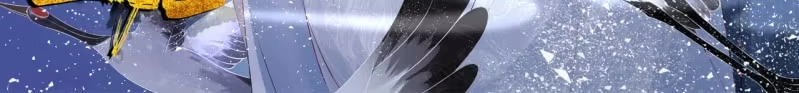 《半妖王妃》黄鸟血脉 第39页