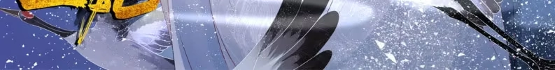 《半妖王妃》恭迎王妃 第40页