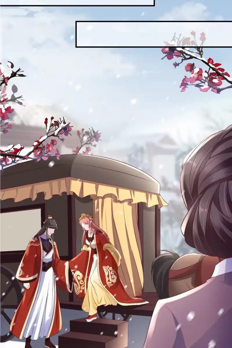 《半妖王妃》我回来了 第3页
