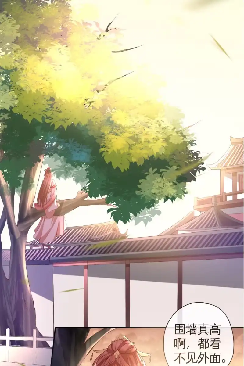 《半妖王妃》这丫头想干什么 第18页