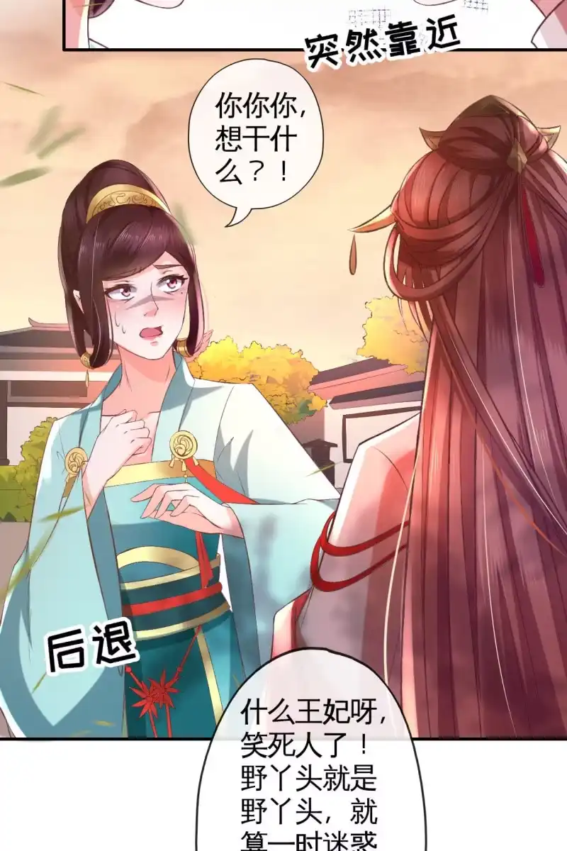 《半妖王妃》这丫头想干什么 第32页