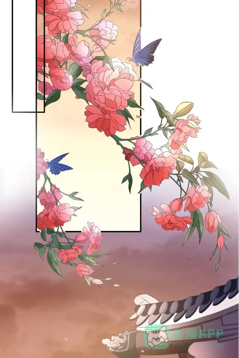 《半妖王妃》这丫头想干什么 第16页