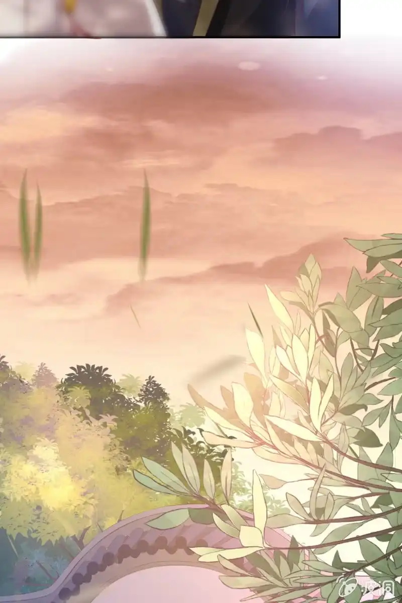 《半妖王妃》爱不能拱手相让！ 第25页