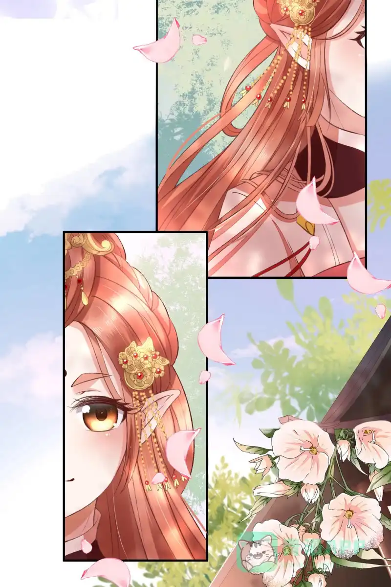 《半妖王妃》许锦桃被责问 第6页