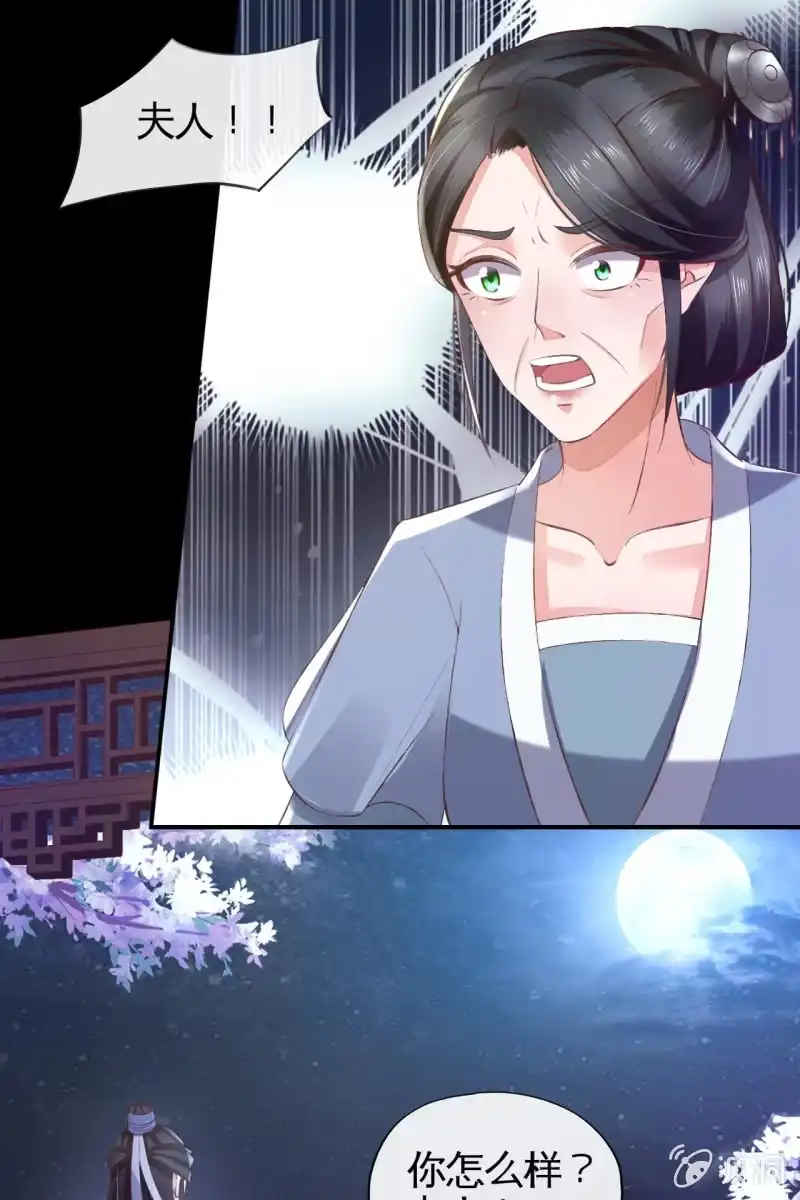《半妖王妃》你居然敢设计我？！ 第29页
