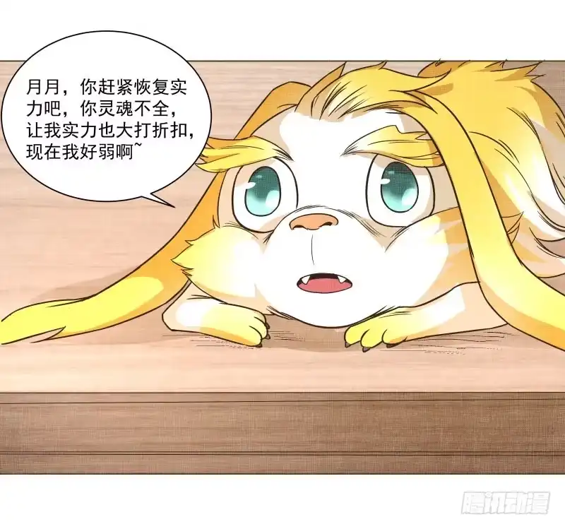 《爆宠狂妻之神医五小姐》10.新来的室友 第32页