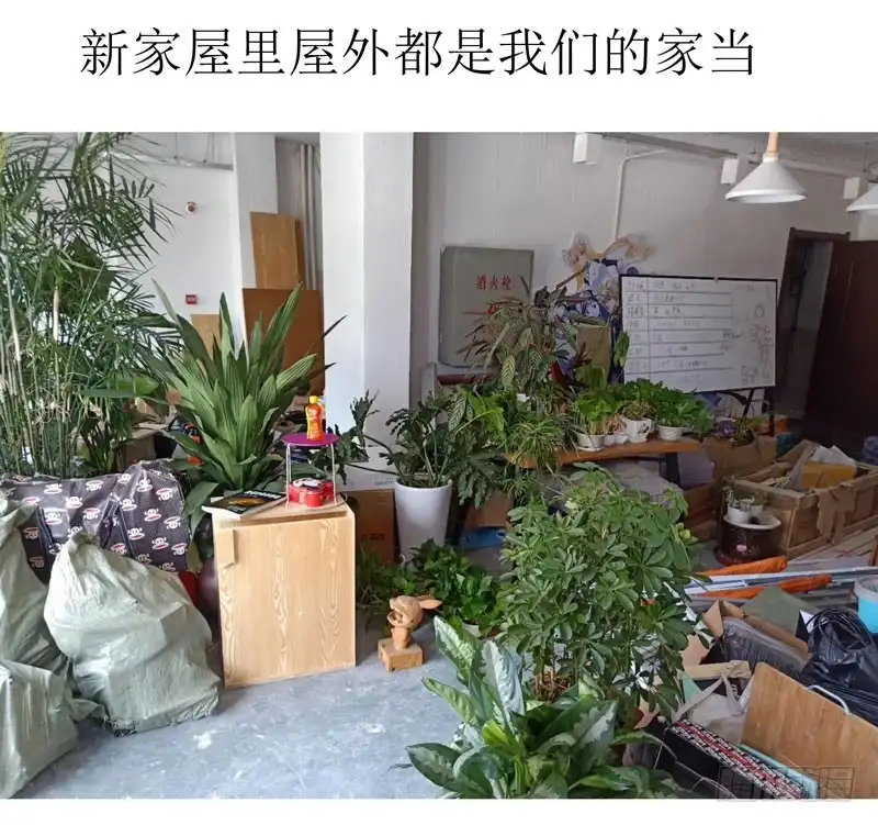 《爆宠狂妻之神医五小姐》对不起读者们 第5页