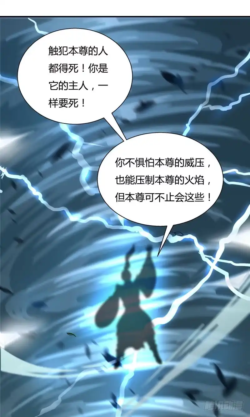 《爆宠狂妻之神医五小姐》掏火棍！ 第25页