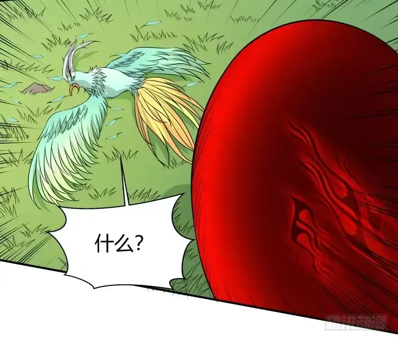 《爆宠狂妻之神医五小姐》蛋打鸟飞！ 第33页