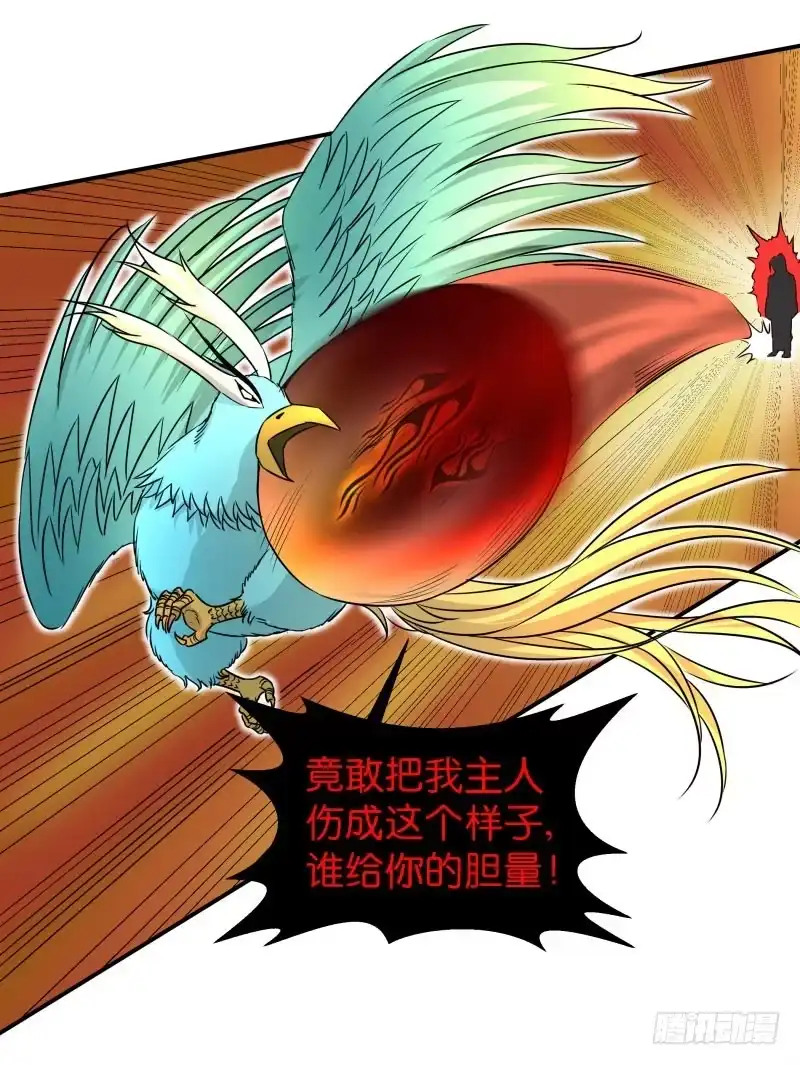 《爆宠狂妻之神医五小姐》蛋打鸟飞！ 第13页
