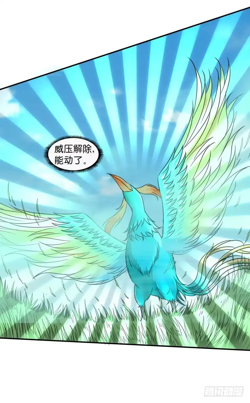 《爆宠狂妻之神医五小姐》地位-1！！ 第22页