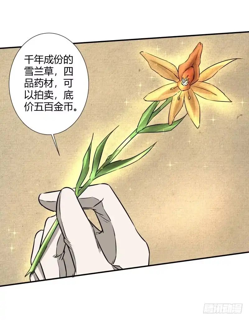 《爆宠狂妻之神医五小姐》二品丹药。 第13页