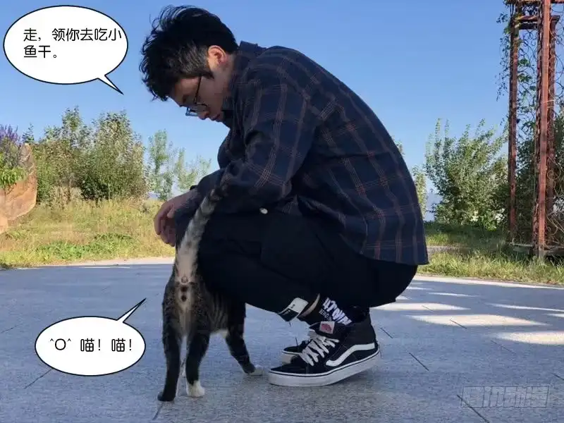 《爆宠狂妻之神医五小姐》喵！喵！喵！ 第8页