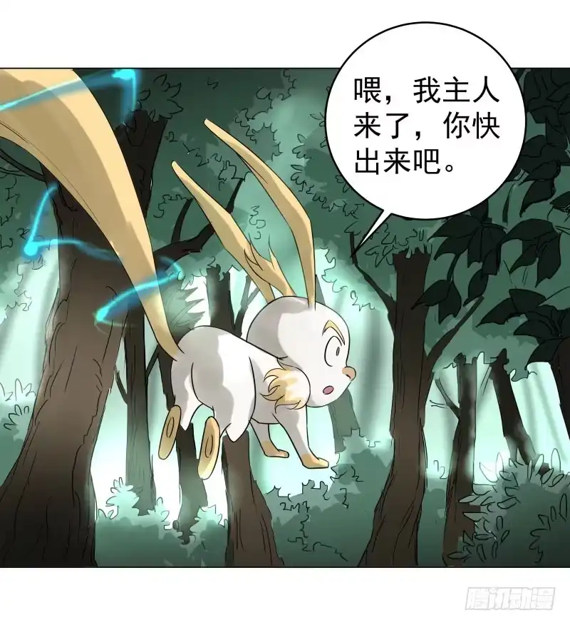《爆宠狂妻之神医五小姐》24.奇怪的猛兽？ 第17页