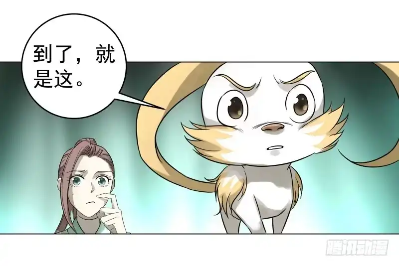 《爆宠狂妻之神医五小姐》24.奇怪的猛兽？ 第16页