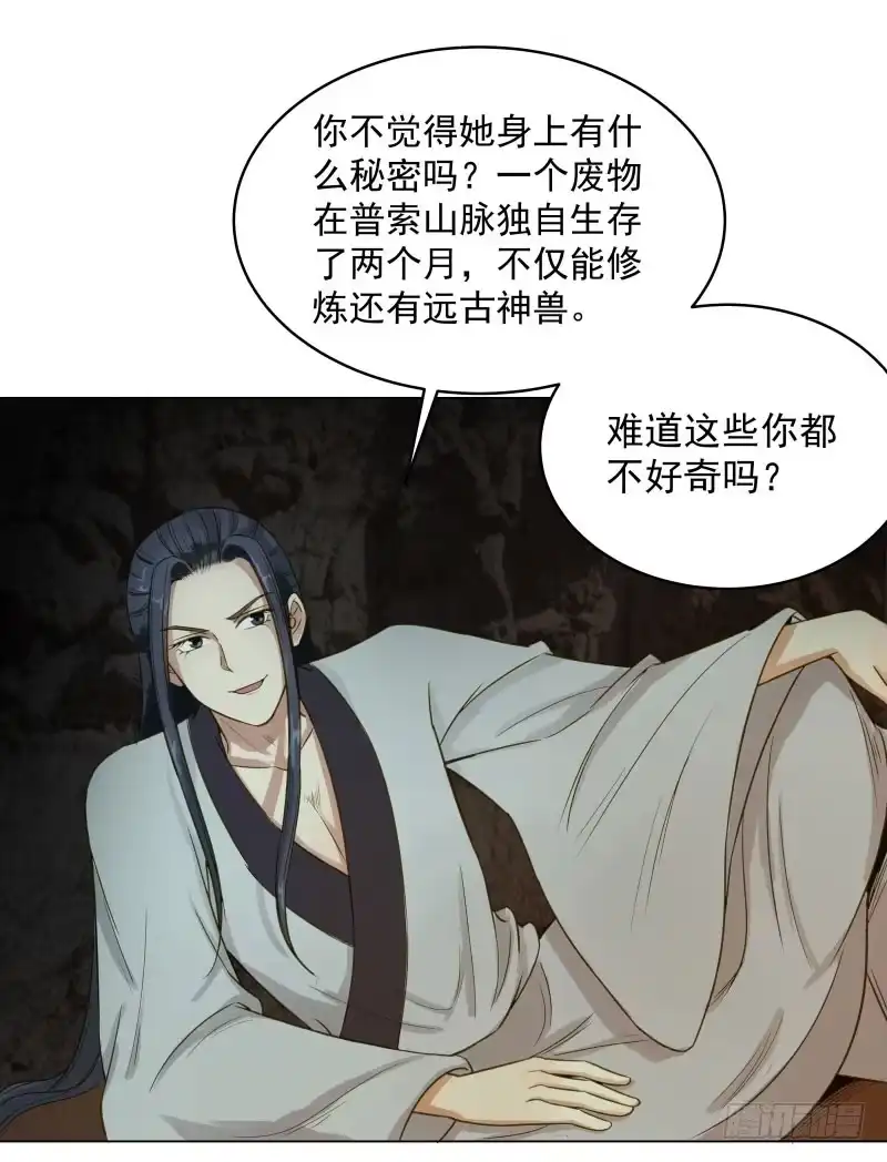 《爆宠狂妻之神医五小姐》24.奇怪的猛兽？ 第4页