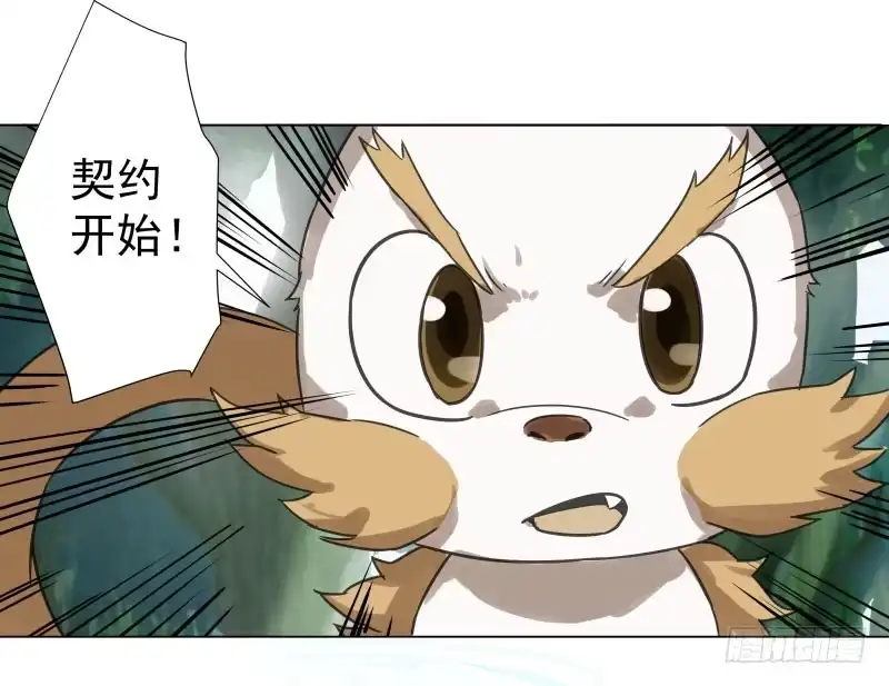 《爆宠狂妻之神医五小姐》25.签订契约...成功？！ 第5页