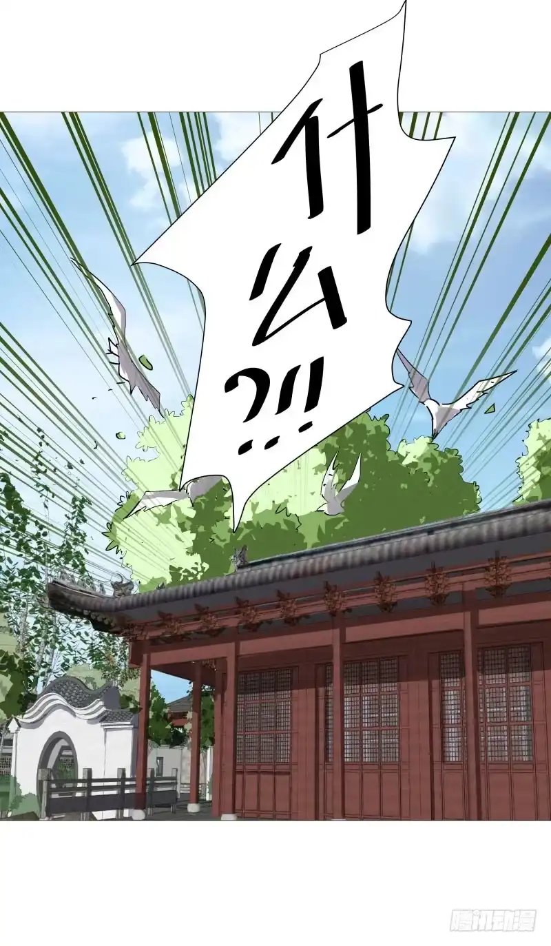 《爆宠狂妻之神医五小姐》33.风老师一直很担心我？ 第15页