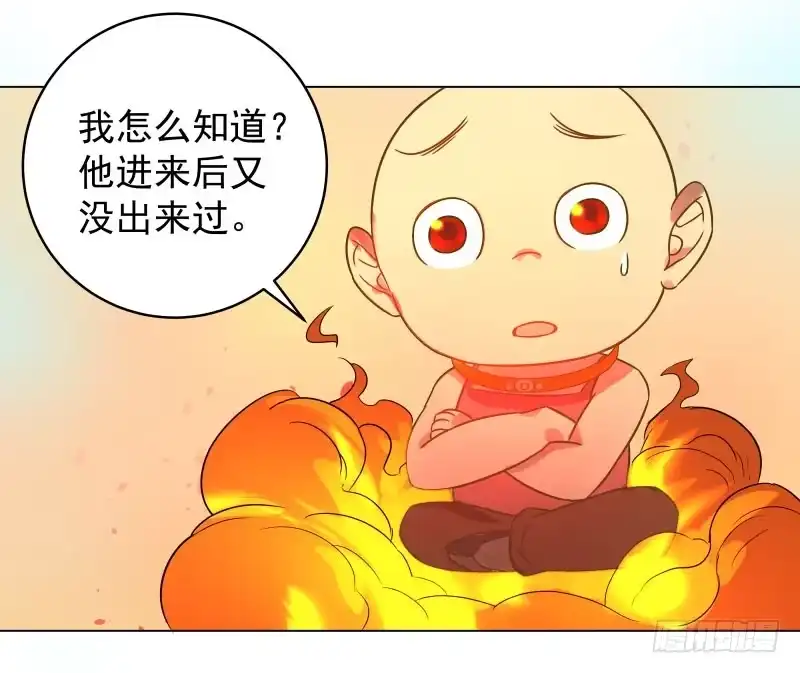 《爆宠狂妻之神医五小姐》34.石头里...出来个火人？ 第17页