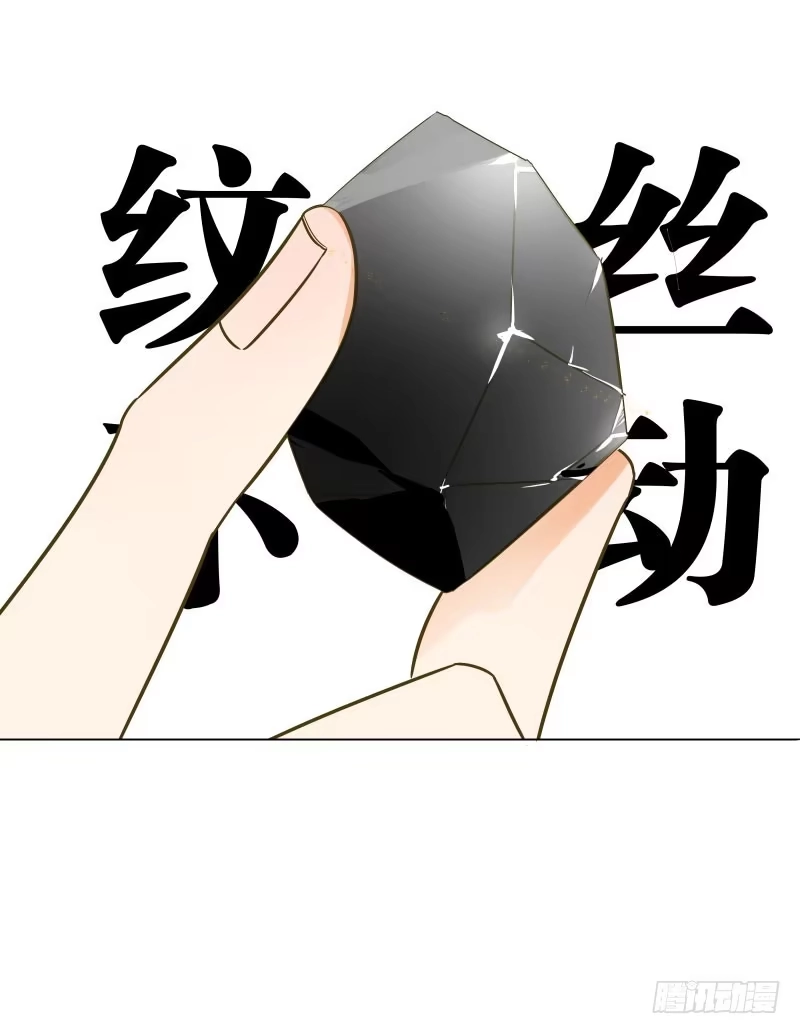 《爆宠狂妻之神医五小姐》34.石头里...出来个火人？ 第22页