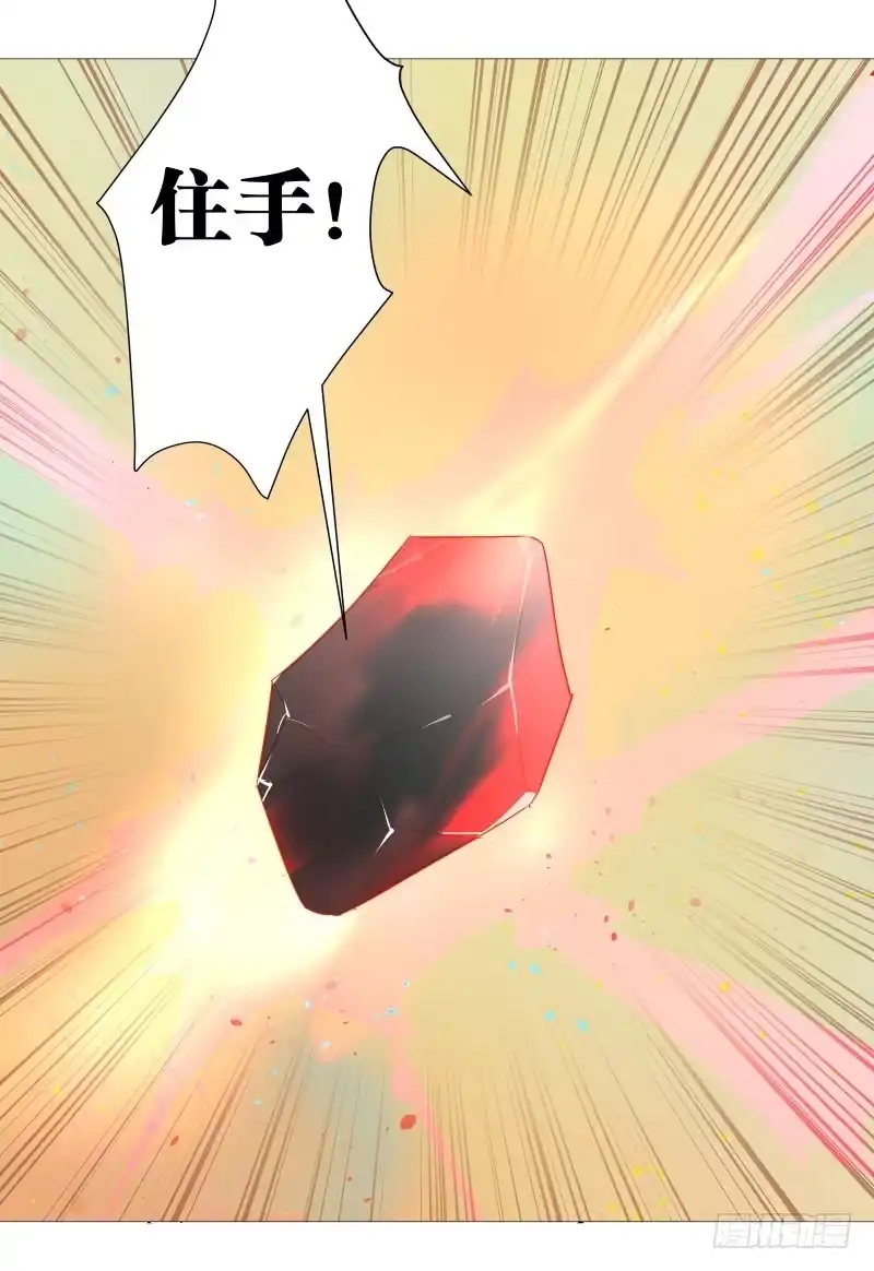 《爆宠狂妻之神医五小姐》34.石头里...出来个火人？ 第28页