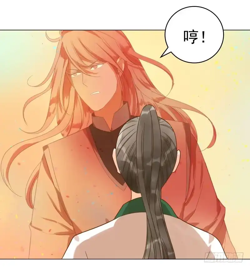 《爆宠狂妻之神医五小姐》34.石头里...出来个火人？ 第37页