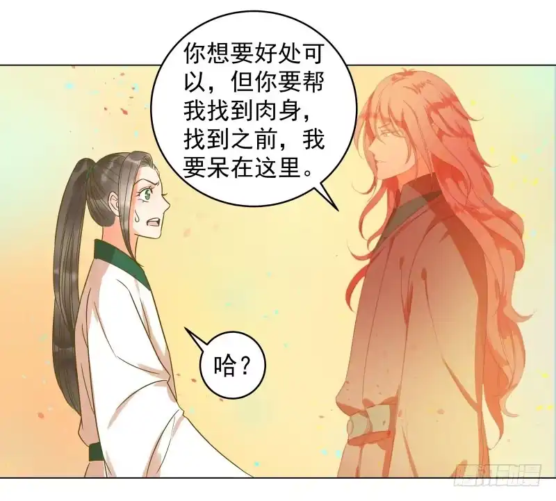 《爆宠狂妻之神医五小姐》35.回到学院，齐聚一堂！ 第5页