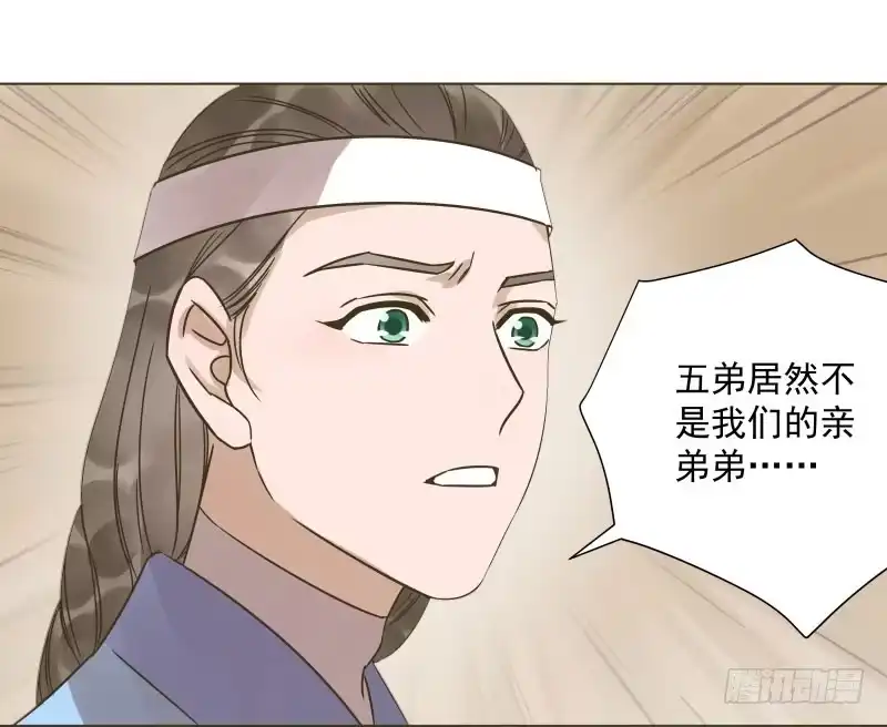 《爆宠狂妻之神医五小姐》42.五弟不是亲弟弟 第22页