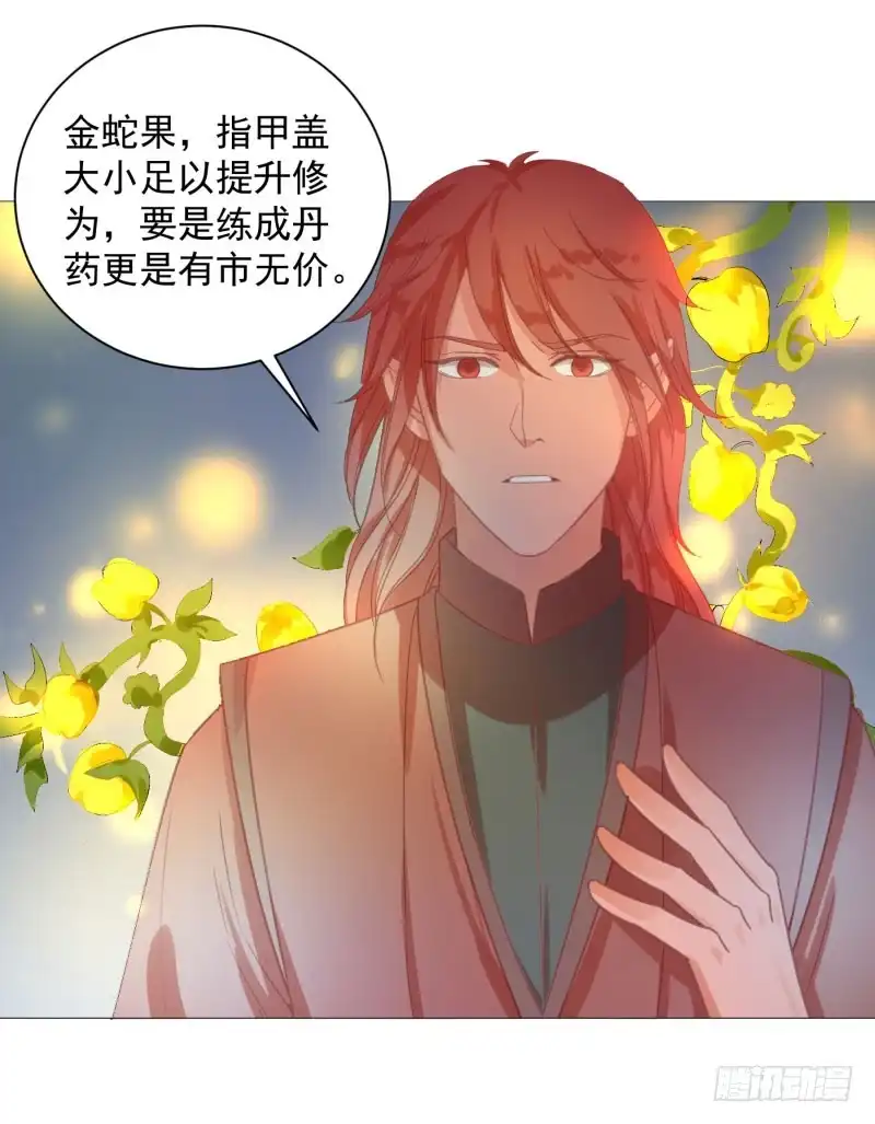 《爆宠狂妻之神医五小姐》52.我们一直都在... 第43页