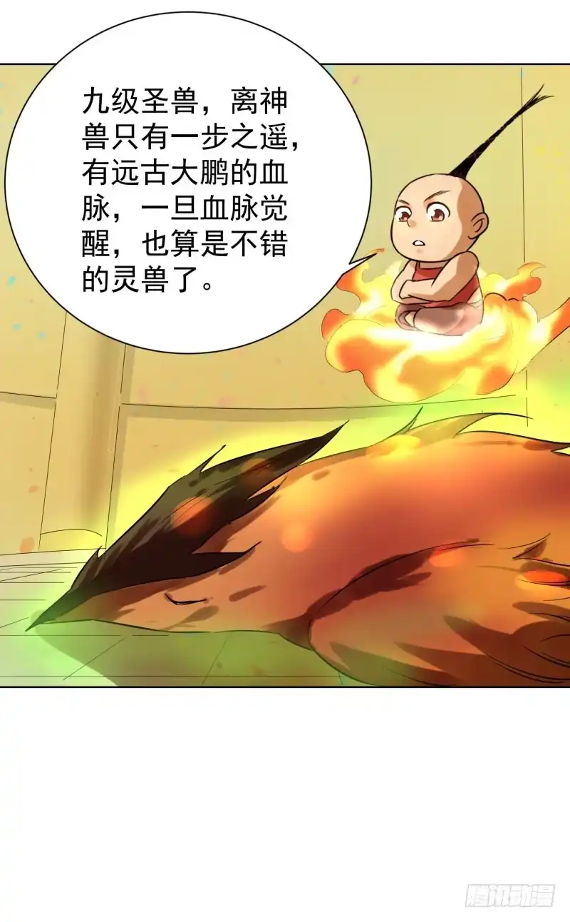 《爆宠狂妻之神医五小姐》56.又有新契约兽了？ 第22页