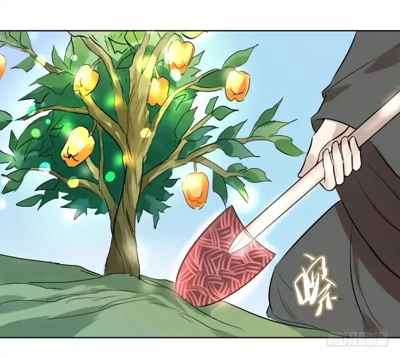 《爆宠狂妻之神医五小姐》57.金蛇果，被拔出来了？！ 第37页