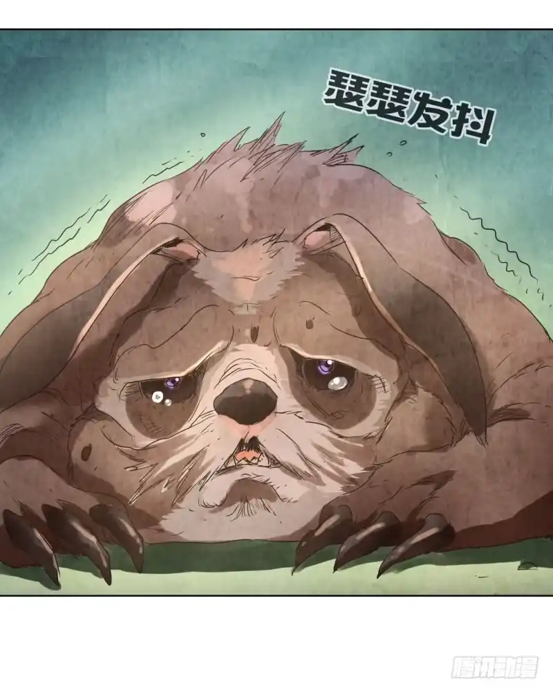 《爆宠狂妻之神医五小姐》72.首次驯化成功！ 第1页