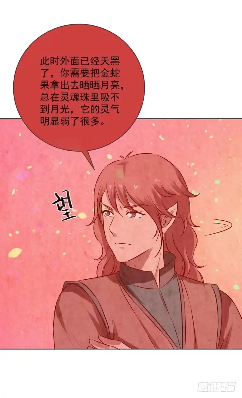 《爆宠狂妻之神医五小姐》74.怎么想起了那个家伙？ 第27页