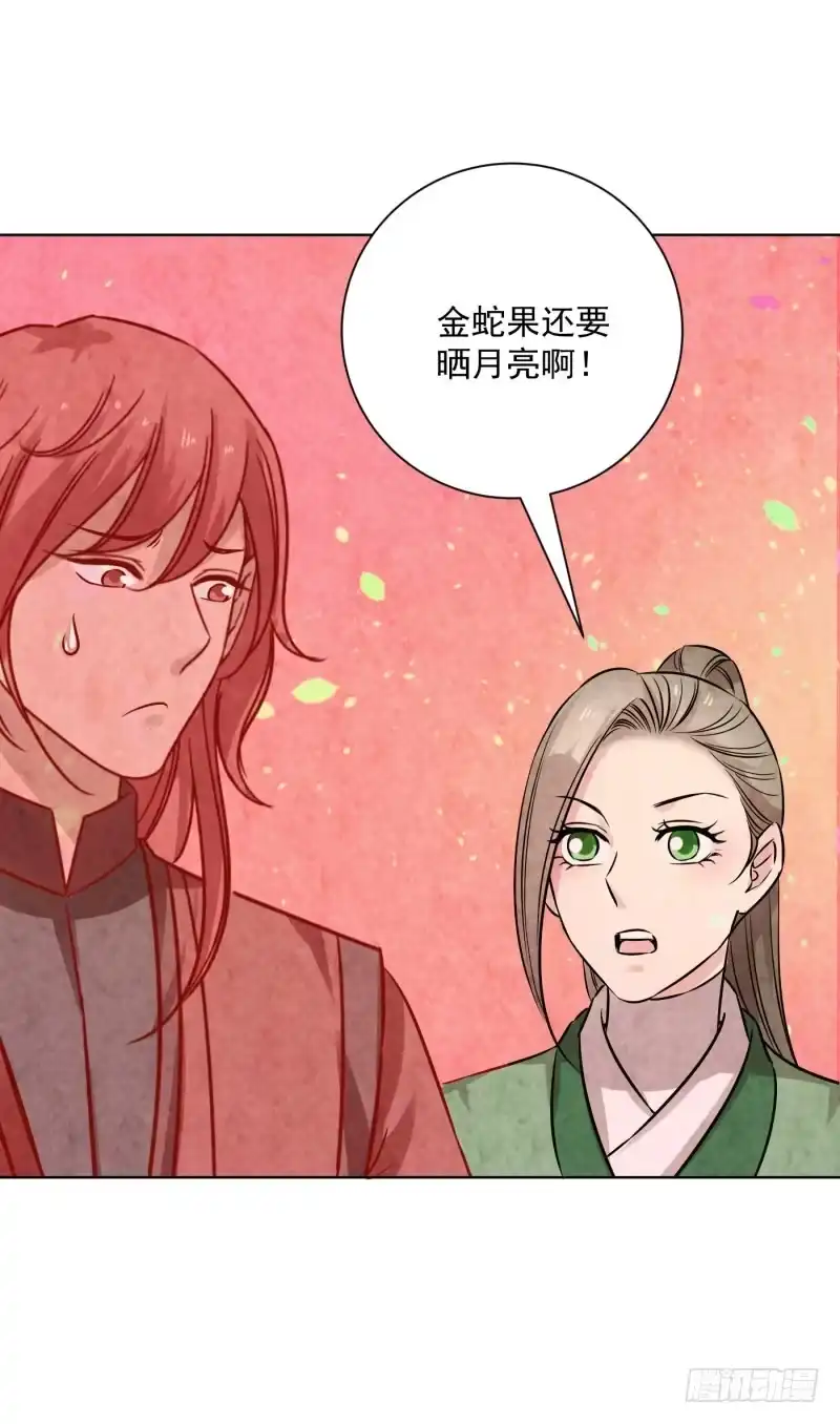 《爆宠狂妻之神医五小姐》74.怎么想起了那个家伙？ 第28页