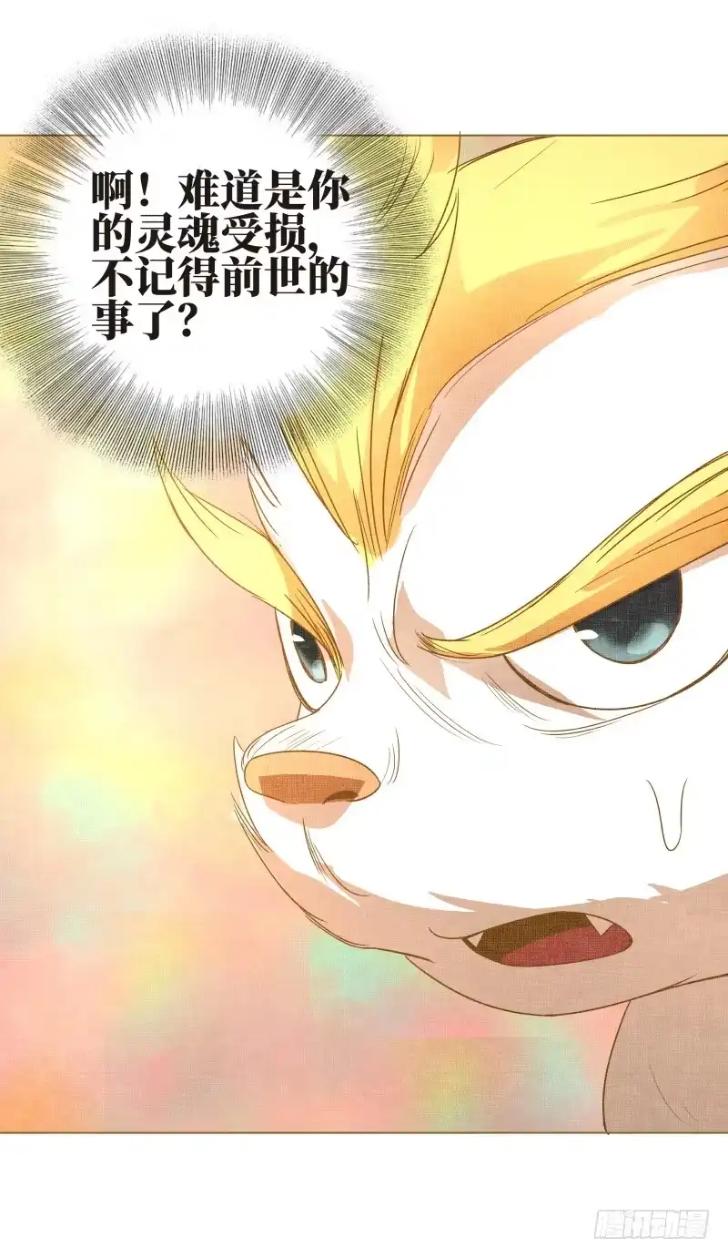 《爆宠狂妻之神医五小姐》9.缺失的记忆 第6页