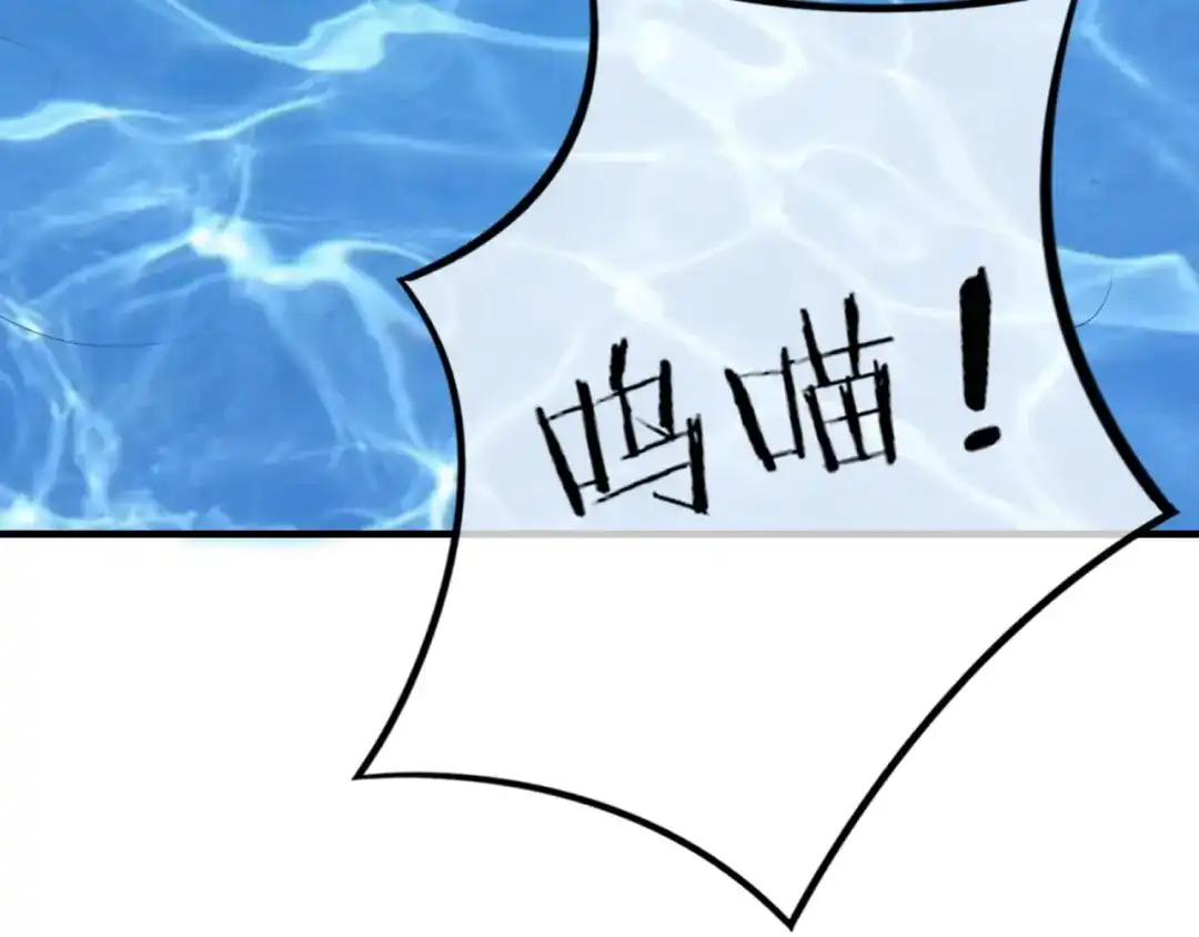 报告王爷，王妃是只猫 第0+1话 从天而降的喵？ 第51页