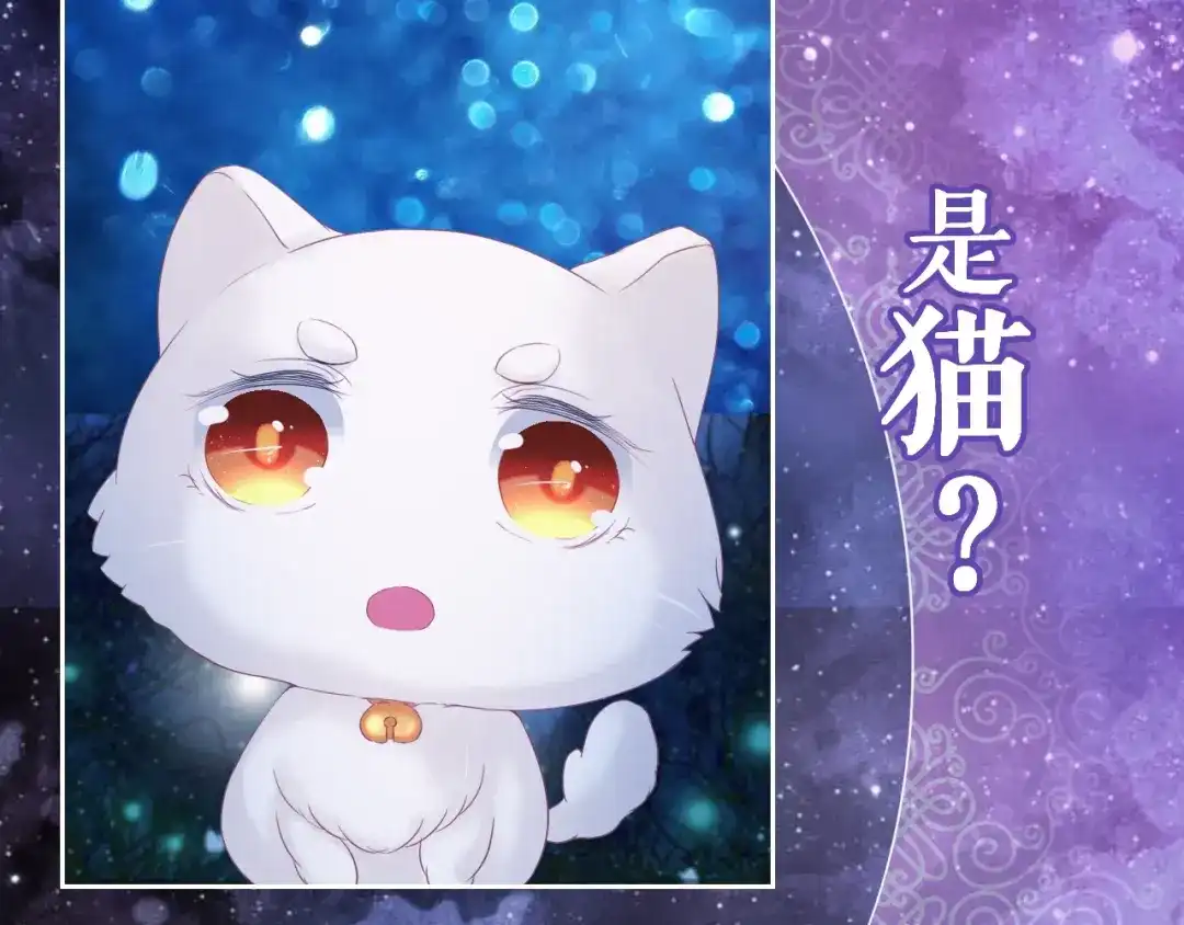 报告王爷，王妃是只猫 第0+1话 从天而降的喵？ 第4页