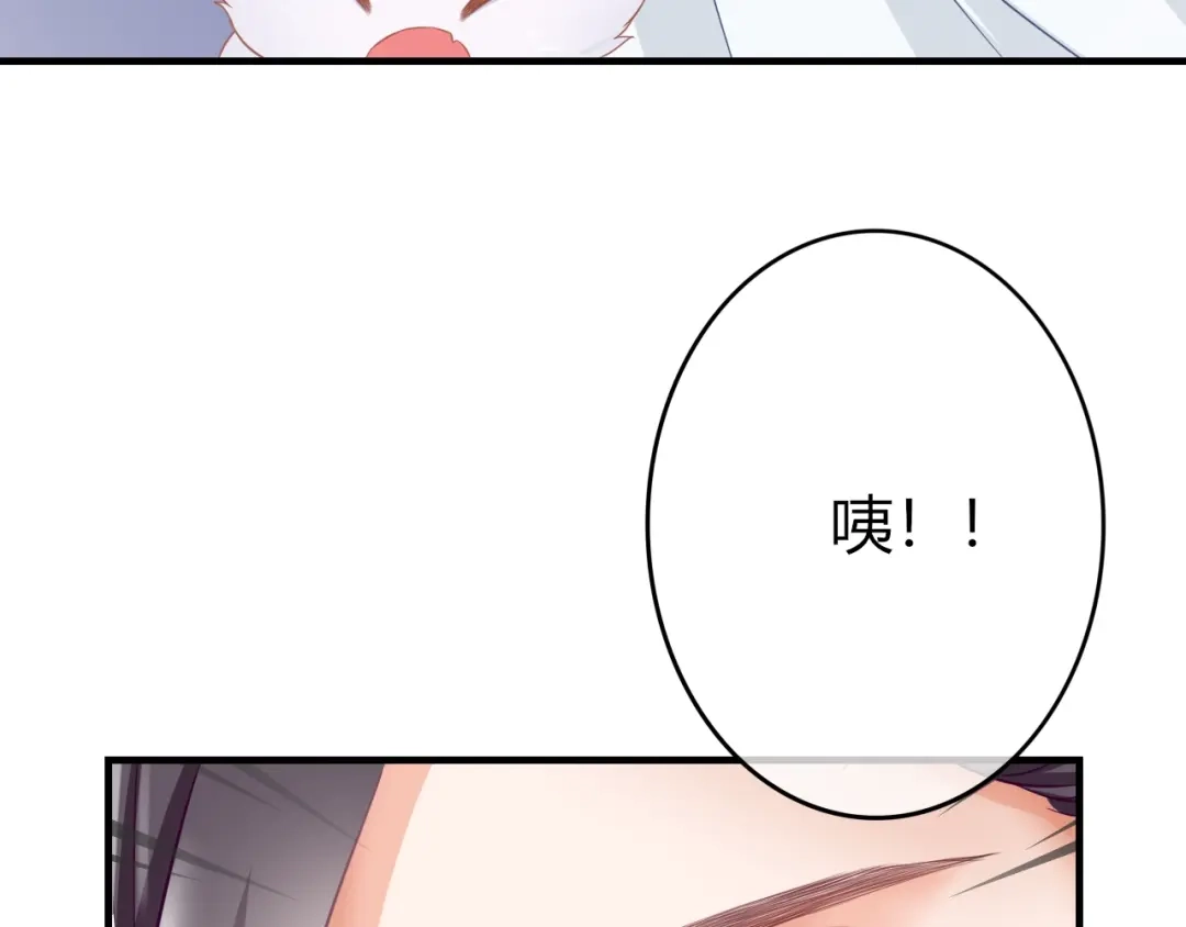 报告王爷，王妃是只猫 第0+1话 从天而降的喵？ 第70页