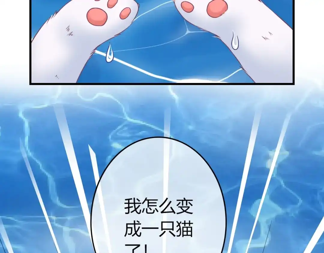 报告王爷，王妃是只猫 第0+1话 从天而降的喵？ 第54页