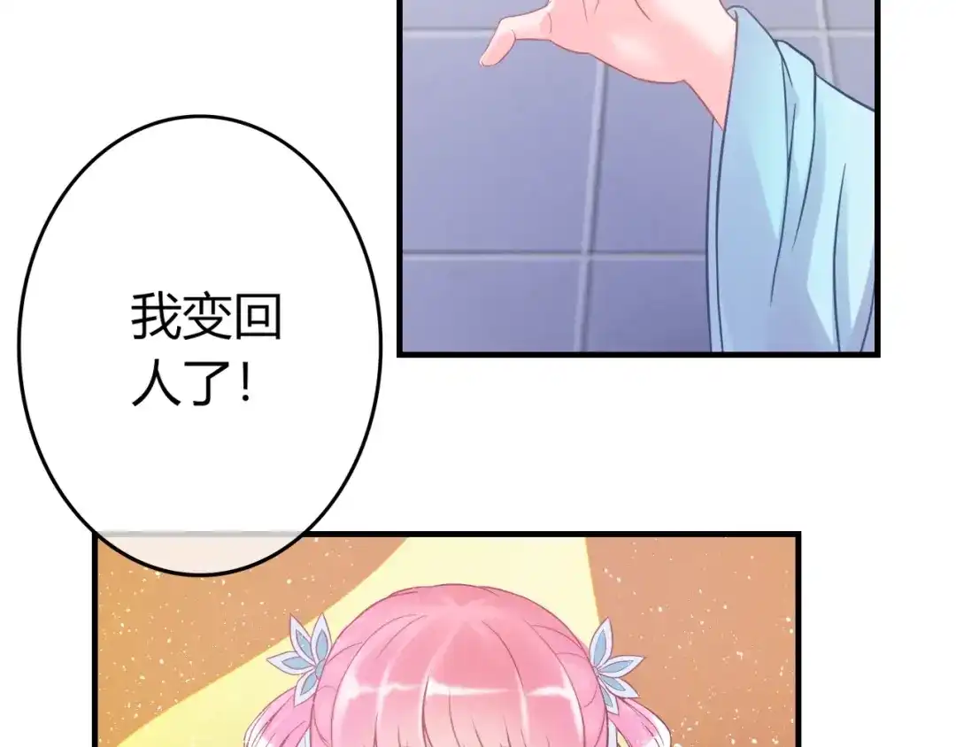报告王爷，王妃是只猫 第0+1话 从天而降的喵？ 第81页
