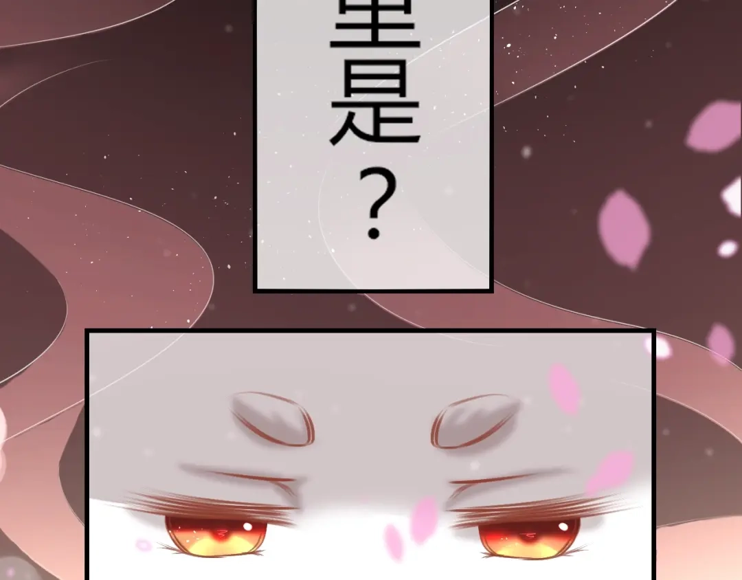 报告王爷，王妃是只猫 第0+1话 从天而降的喵？ 第31页