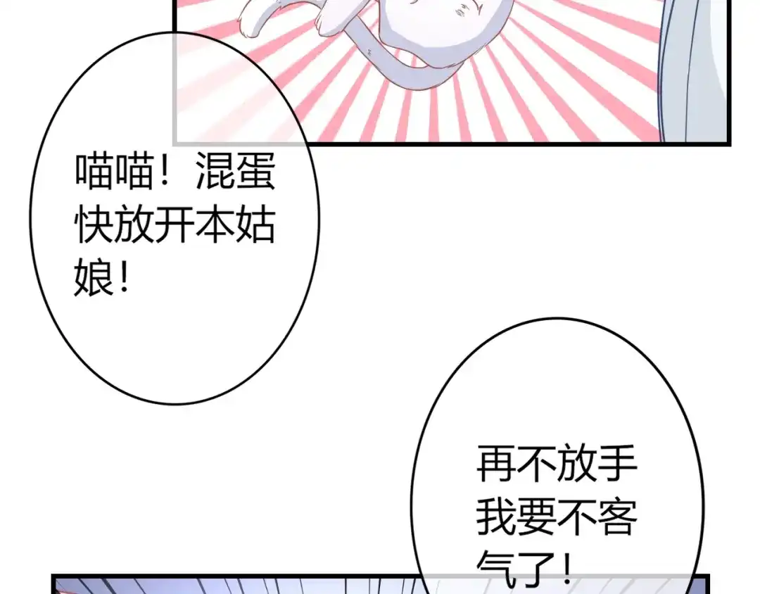 报告王爷，王妃是只猫 第0+1话 从天而降的喵？ 第65页