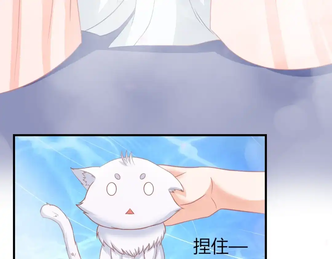 报告王爷，王妃是只猫 第0+1话 从天而降的喵？ 第63页
