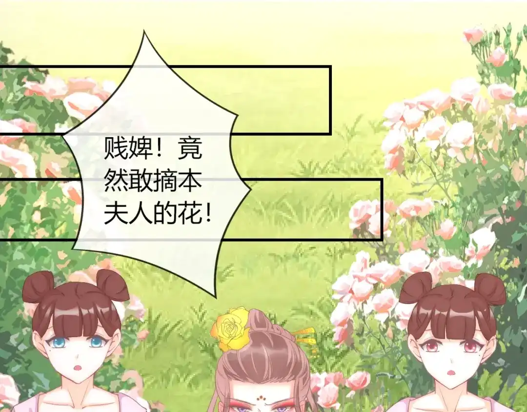 报告王爷，王妃是只猫 第12话 你竟敢摘我的花！ 第5页