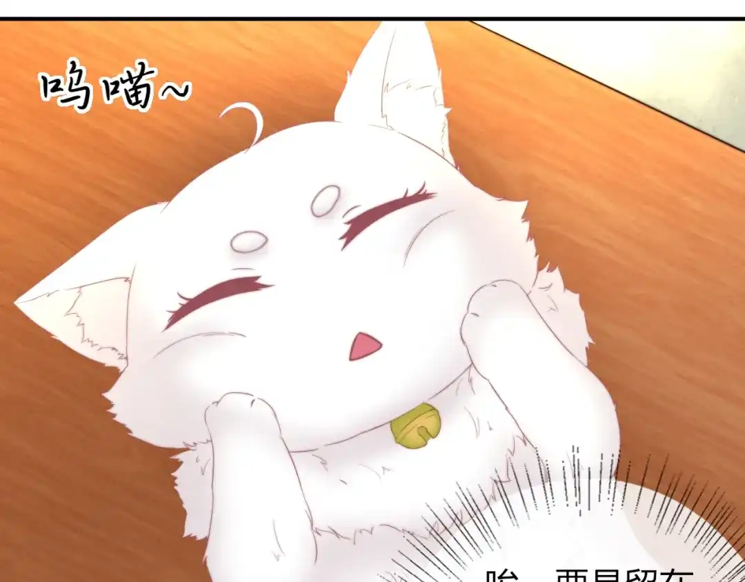 报告王爷，王妃是只猫 第16话 做个实验！ 第94页