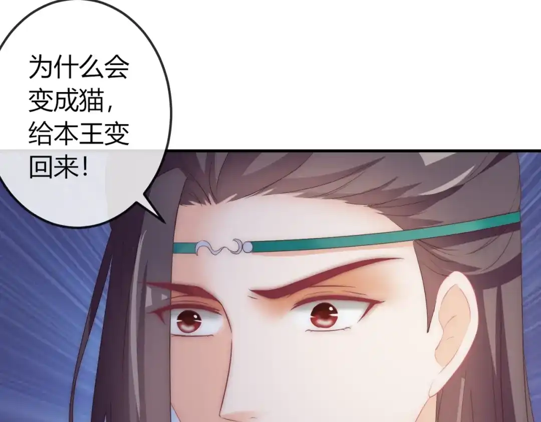 报告王爷，王妃是只猫 第16话 做个实验！ 第46页