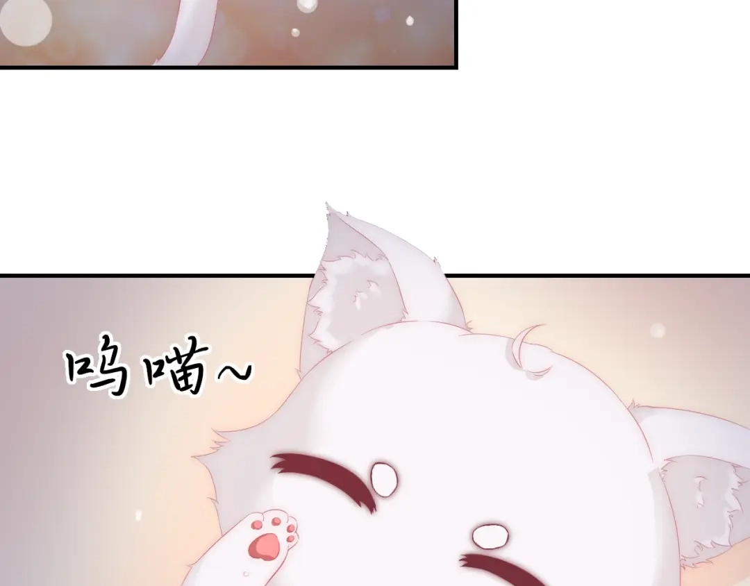 报告王爷，王妃是只猫 第16话 做个实验！ 第40页