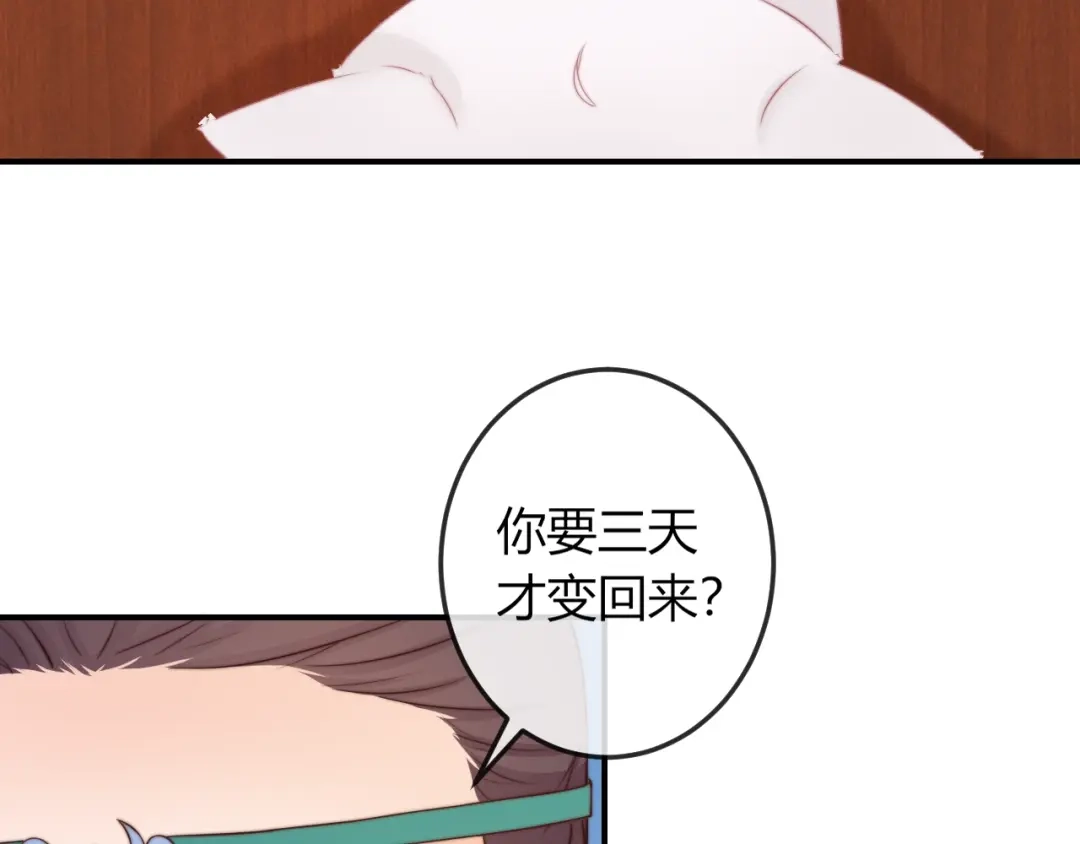 报告王爷，王妃是只猫 第16话 做个实验！ 第56页